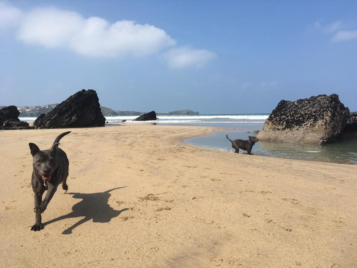 Апартаменты Dog-friendly Stylish Flat, Parking, Nr Lusty Glaze Ньюки